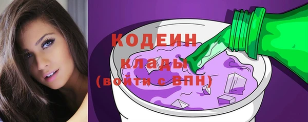 индика Абинск