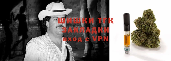 индика Абинск