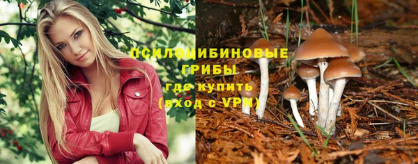 твердый Абдулино