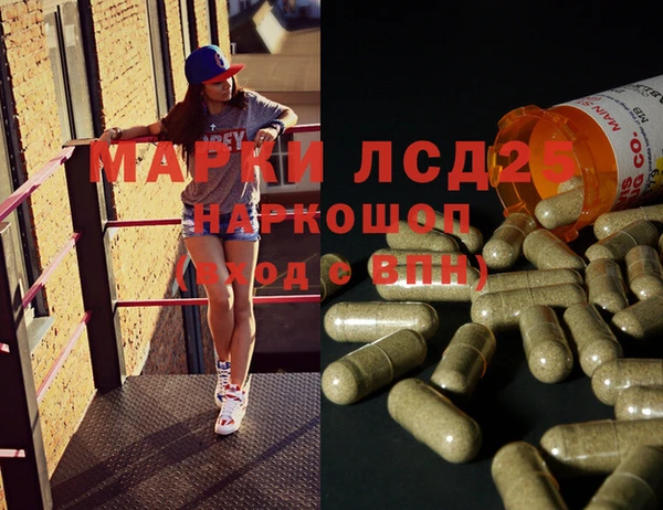 индика Абинск
