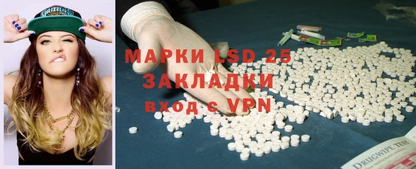 индика Абинск